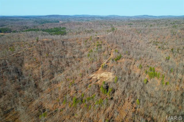 $99,995 | 132 Madison Cr, Fredericktown, MO 63645