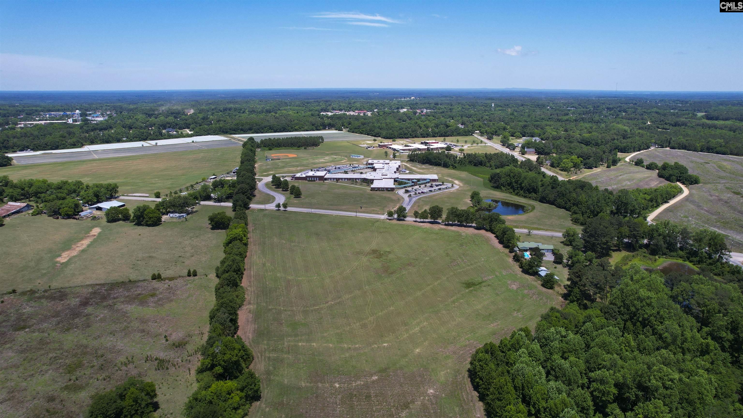 0 Shealy Road, Unit LOT 2 Batesburg, SC 29006 - Photo 10 of 17