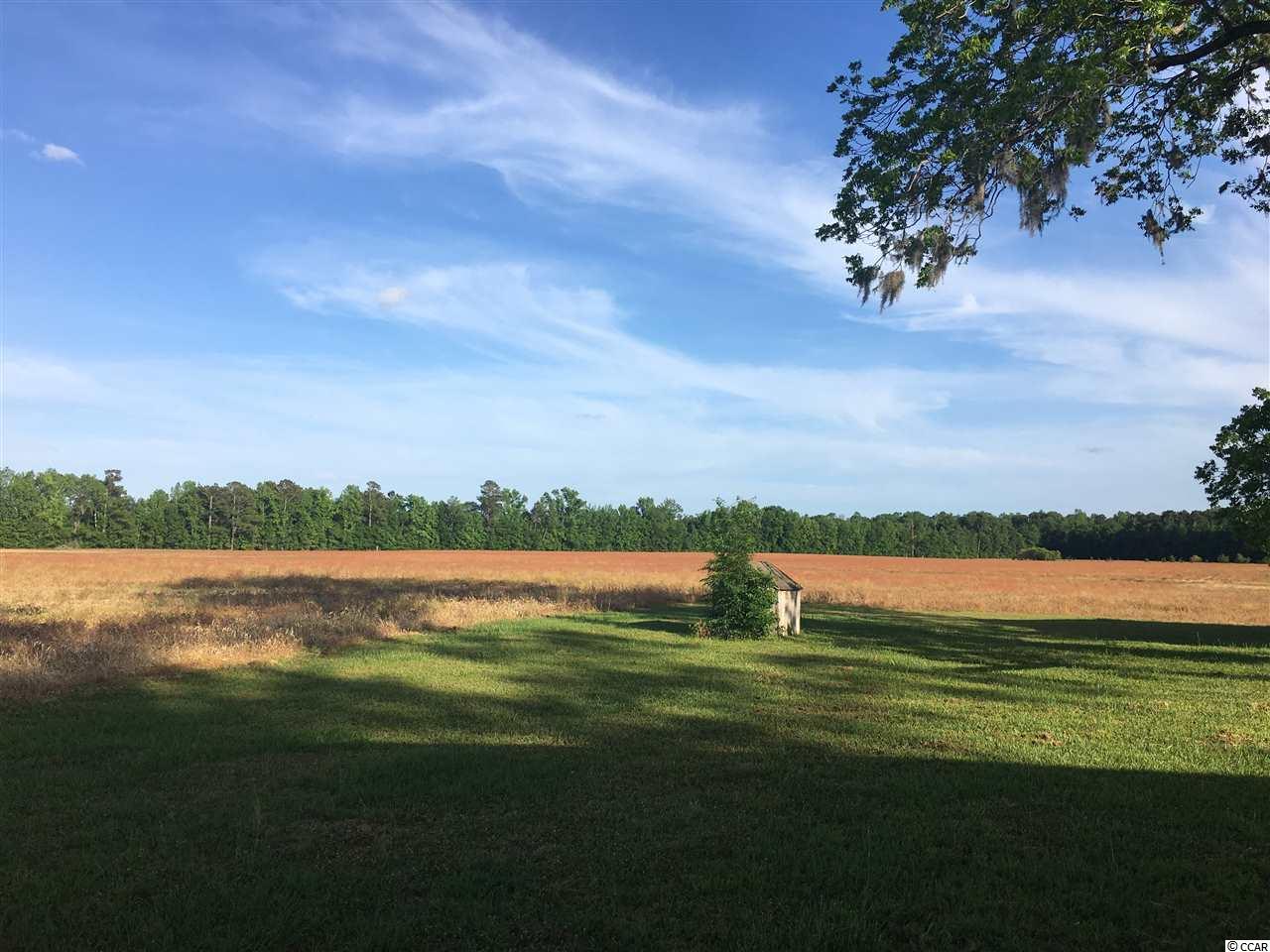890 Bartells Road Hemingway, SC 29554 - Photo 4 of 11