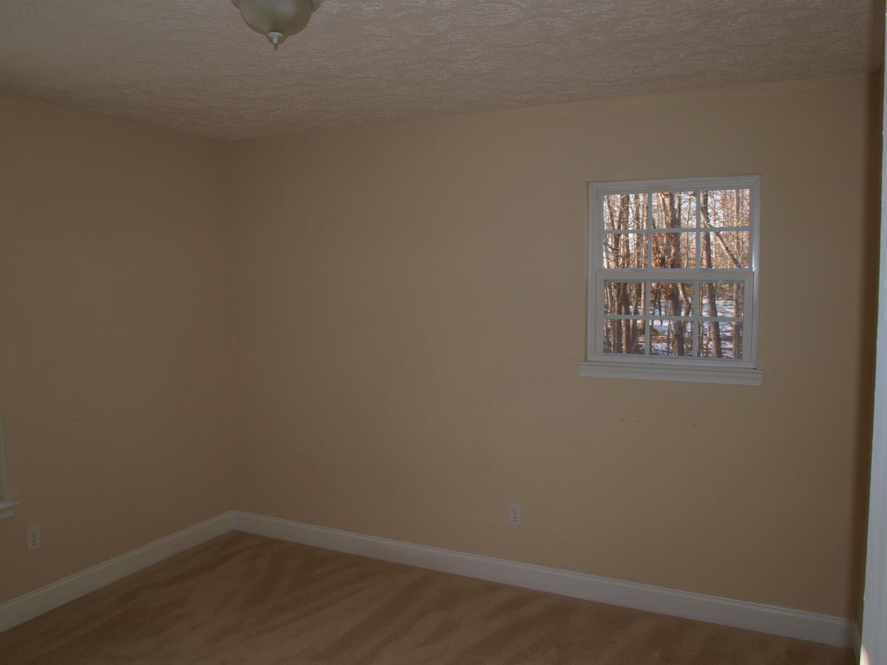 1419 Cutlass Road Moneta, VA 24121 - Photo 9 of 15 MASTER BEDROOM
