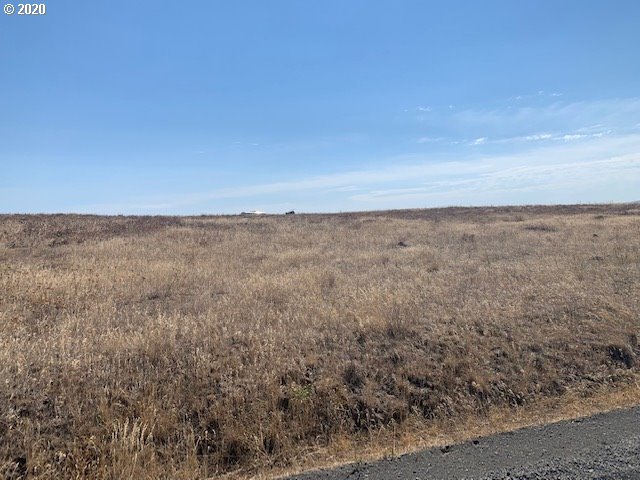 Harms Road Centerville, WA 98613 - Photo 2 of 7 Gallery Image 2