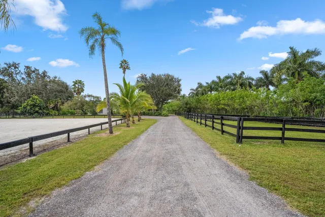 a house that has a tree in front of it