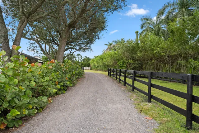 a outdoor space with plants