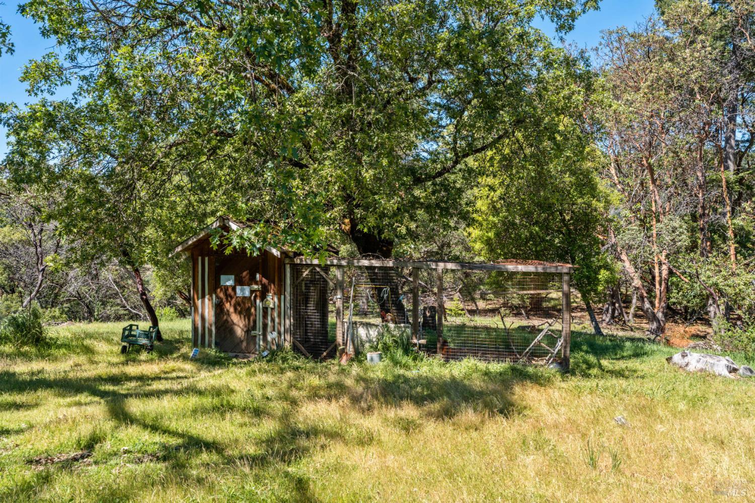 3751 Low Gap Road Ukiah, CA 95482 - Photo 19 of 22 a view of outdoor space with a garden and trees