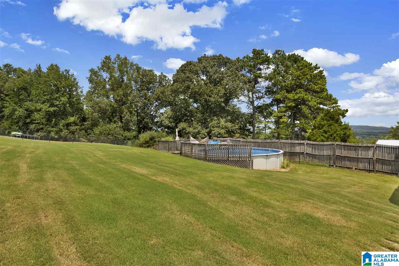 140 Smithfield Lane Springville, AL 35146 - Photo 27 of 29