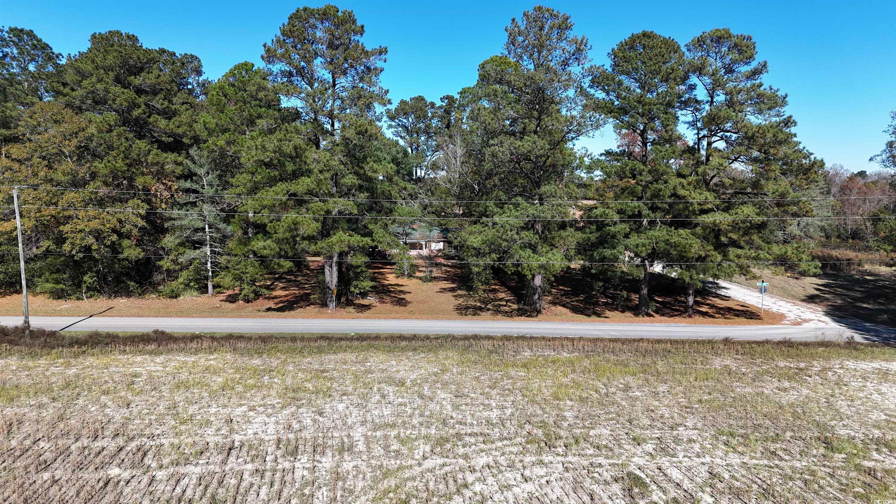 6800 State Rd S-26-266 Nichols, SC 29581 - Photo 15 of 20 View of yard with view of wooded area