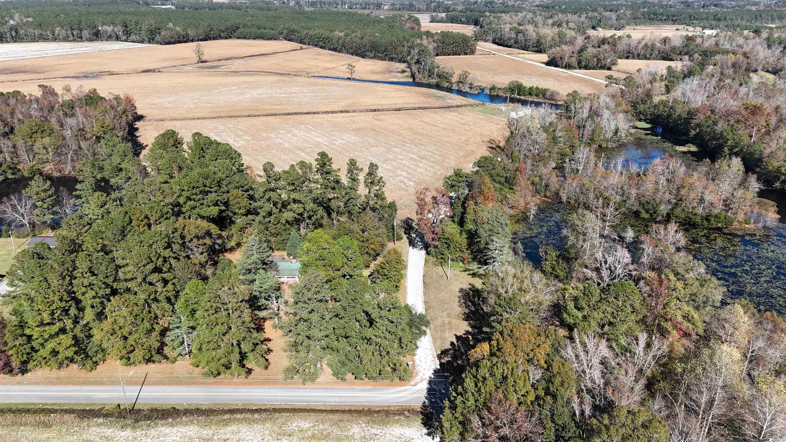 6800 State Rd S-26-266 Nichols, SC 29581 - Photo 4 of 20 View of property location featuring rural landscape