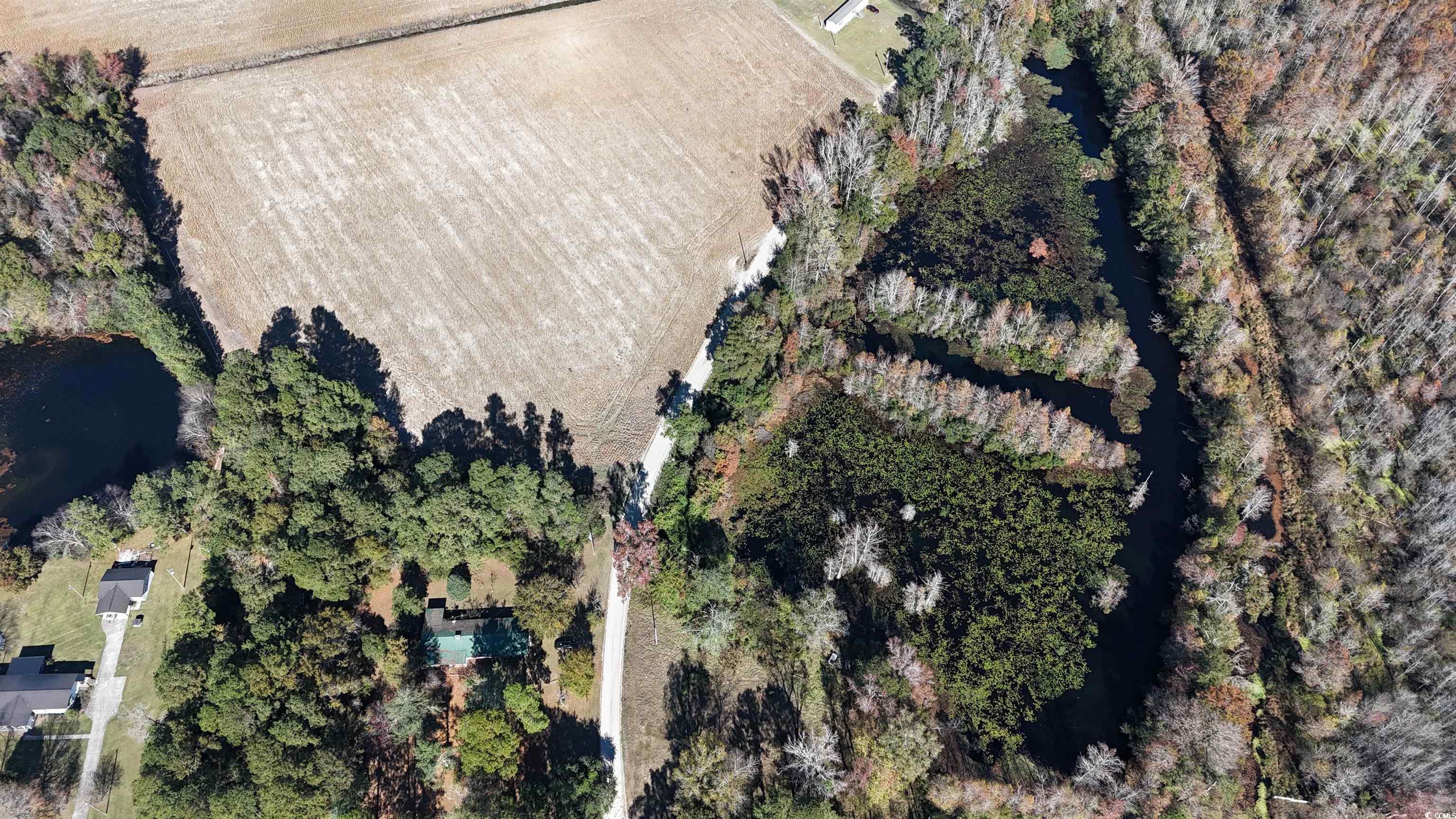 6800 State Rd S-26-266 Nichols, SC 29581 - Photo 8 of 20 Aerial view of property and surrounding area