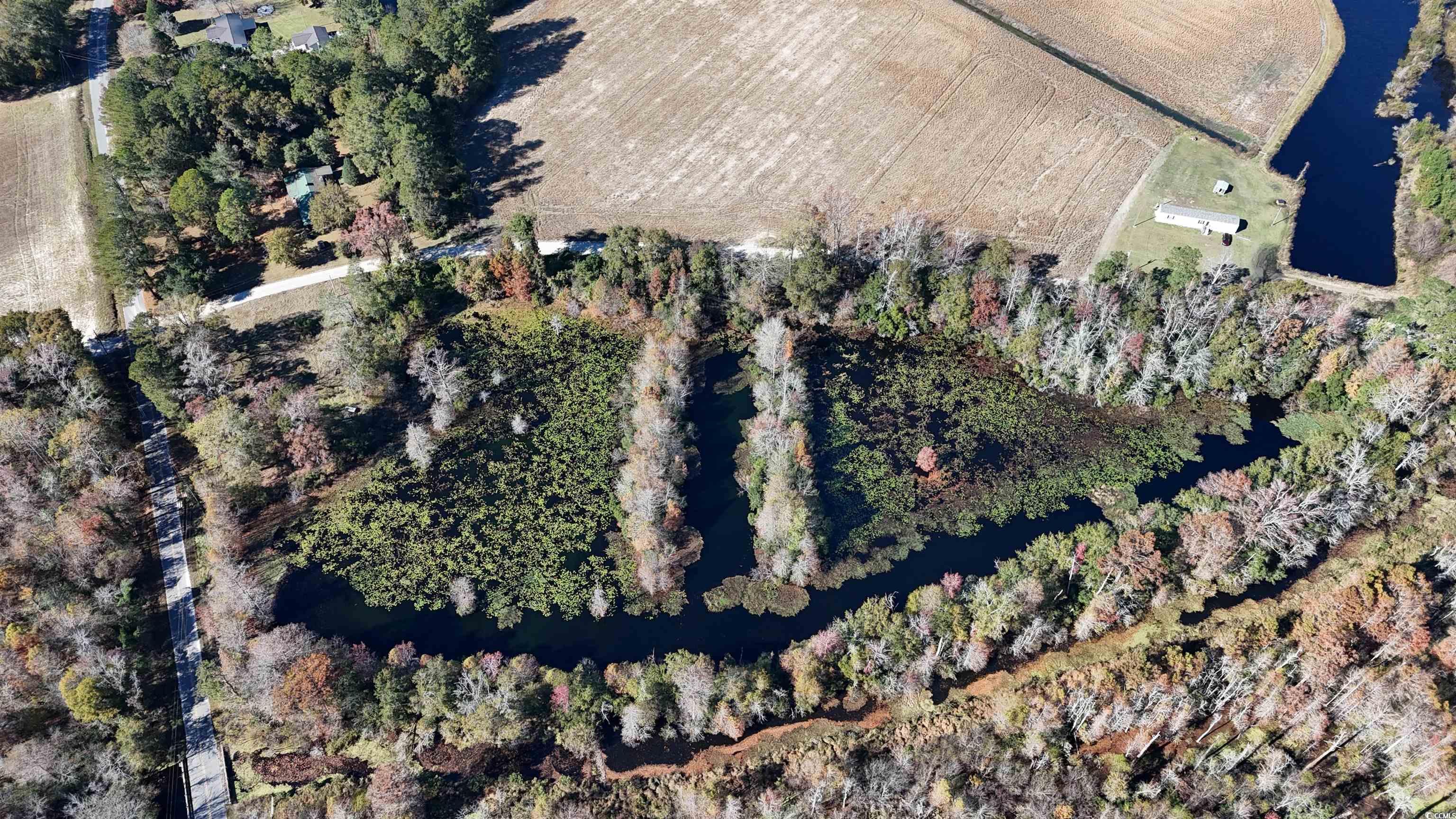 6800 State Rd S-26-266 Nichols, SC 29581 - Photo 9 of 20 View of property location