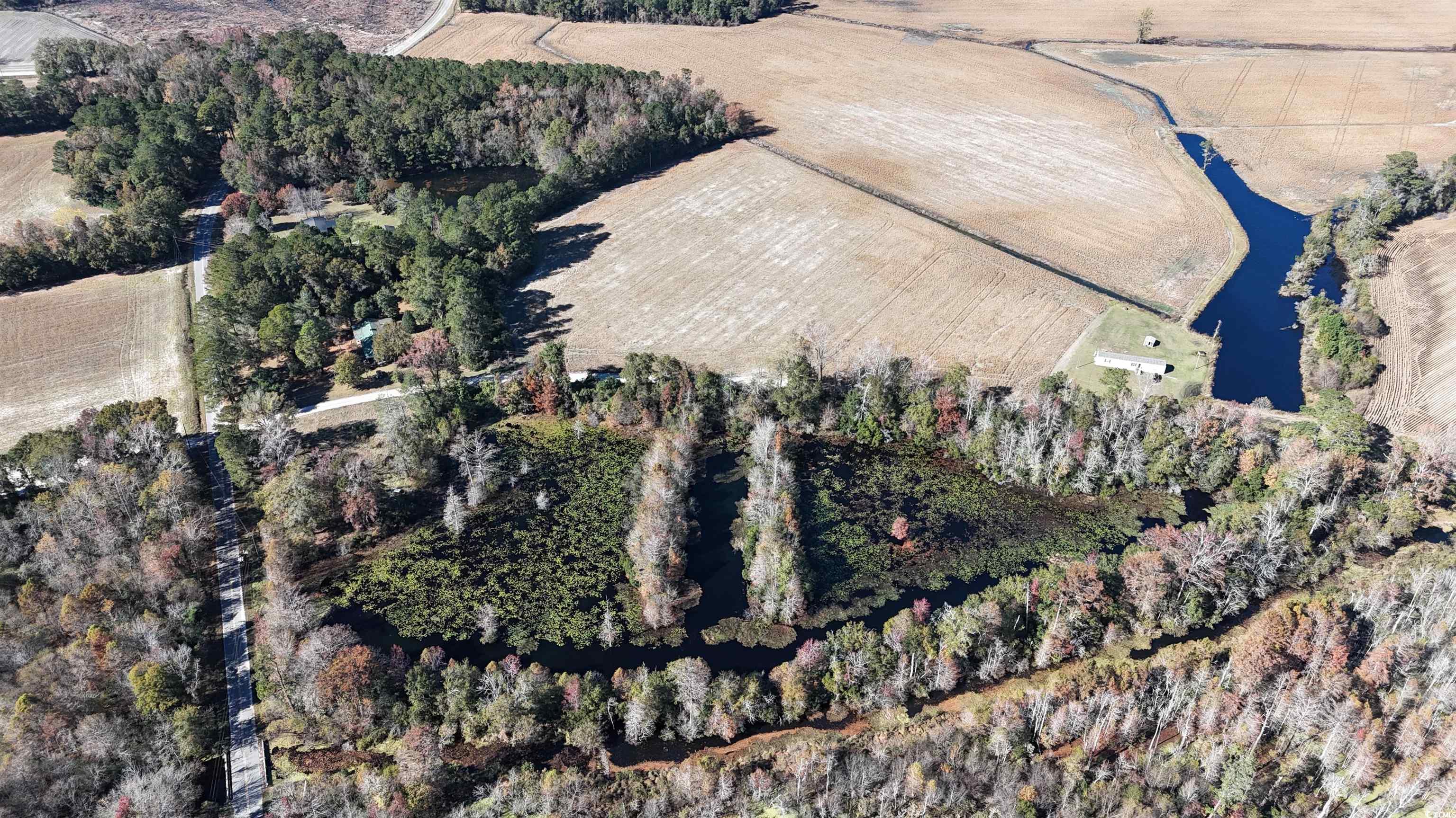 6800 State Rd S-26-266 Nichols, SC 29581 - Photo 10 of 20 View of property location with rural landscape