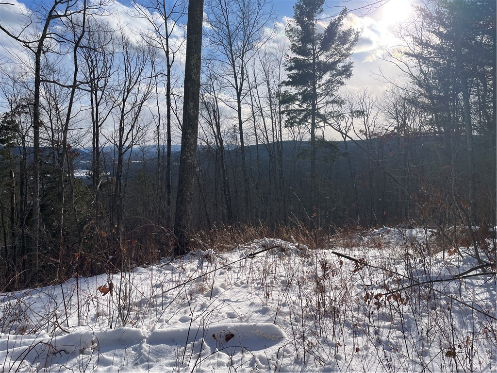 15 Silver Mine Road Blenheim, NY 12131 - Photo 12 of 15