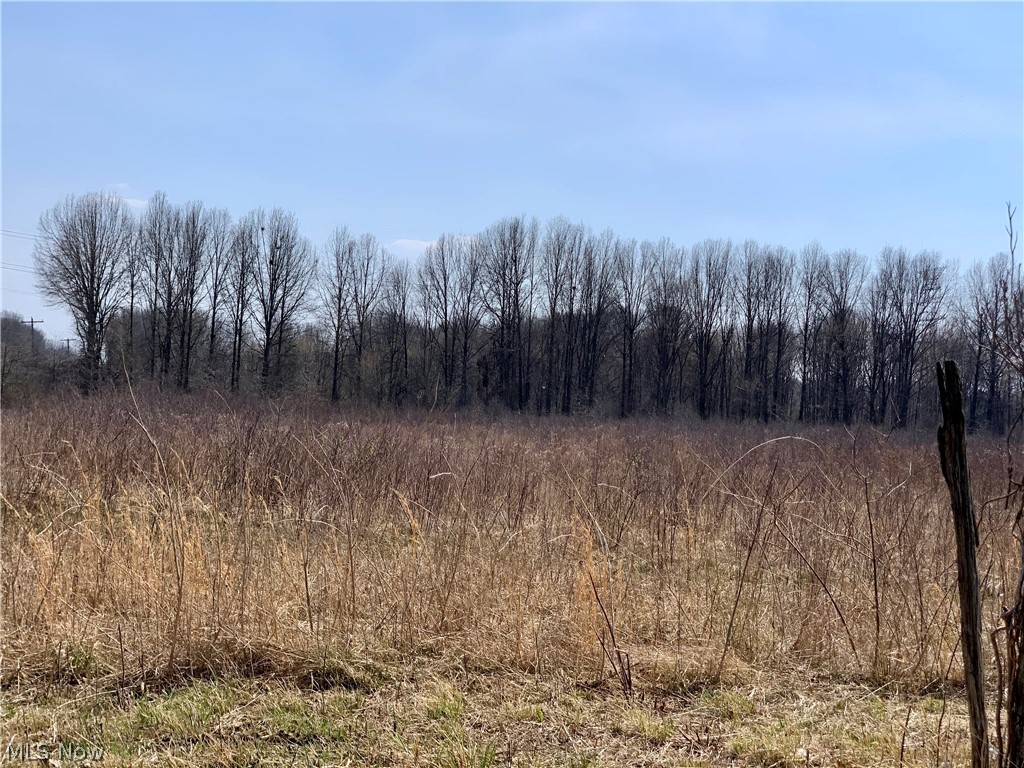 225 State Route Atwater, OH 44201 - Photo 2 of 3 View from corner of State Route 225 and Virginia Rd.