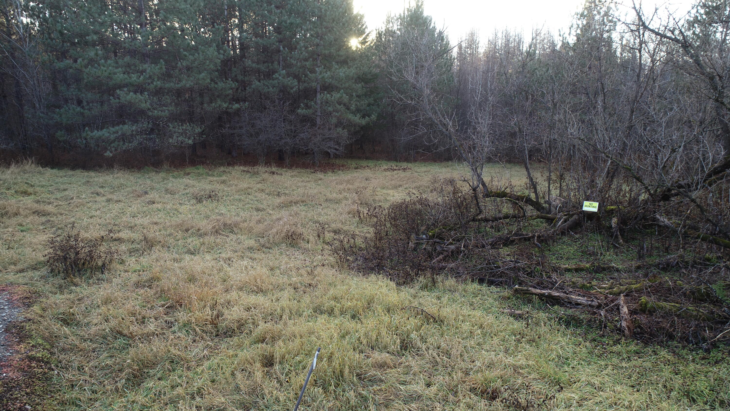 1155 Ferry Road Bancroft, ME 04497 - Photo 63 of 64 DJI_0493