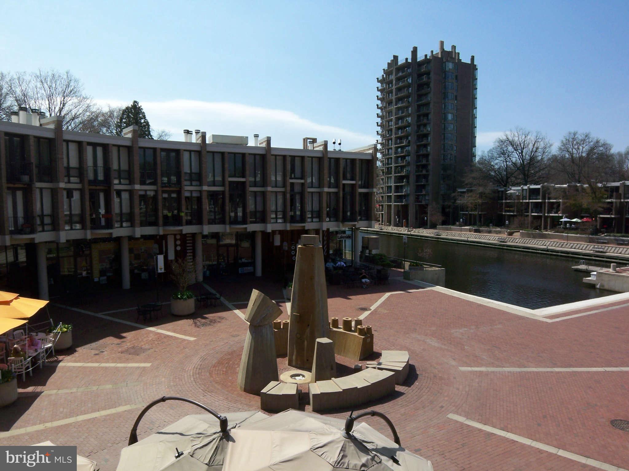 1632 Chimney House Road, Unit 1632 Reston, VA 20190 - Photo 11 of 29 View