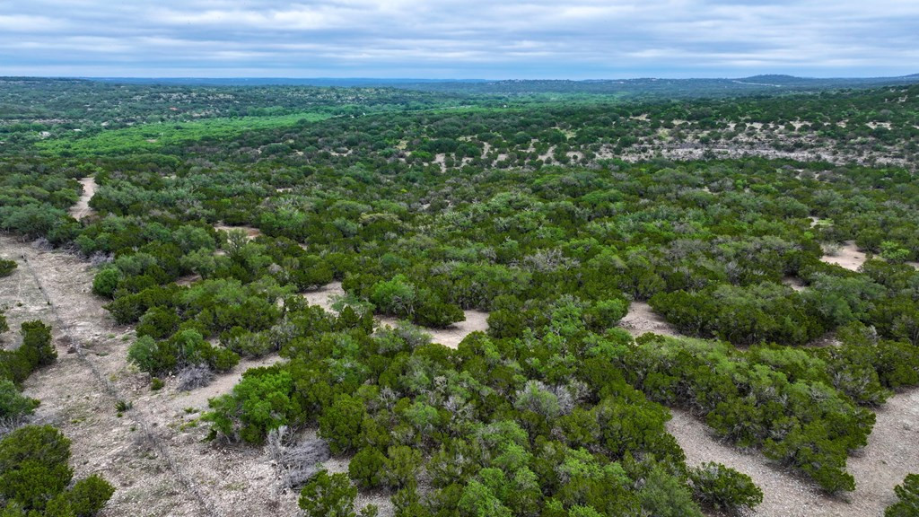 4603 County Road Roosevelt, TX 76874 - Photo 8 of 31 Photo 8
