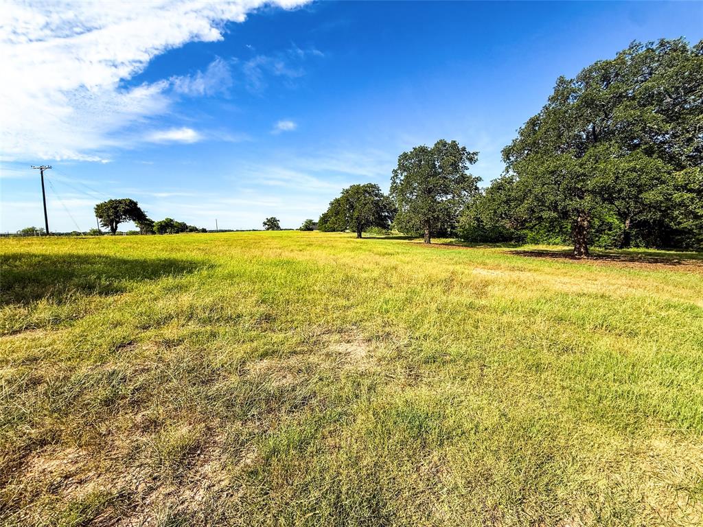 390 County Road 1475 Road Chico, TX 76431 - Photo 30 of 36