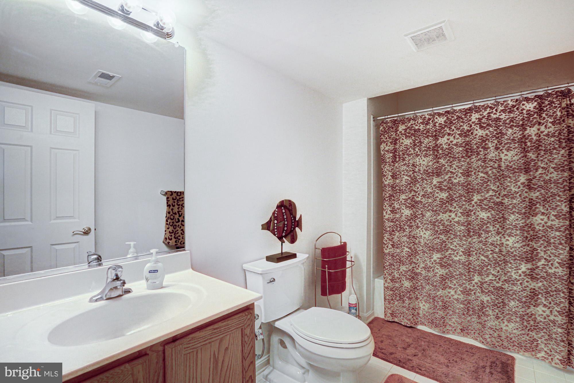 43 Autumn Terrace Magnolia, DE 19962 - Photo 82 of 86 a bathroom with a sink a toilet and a mirror