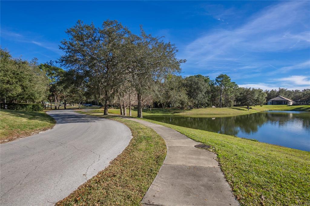 1148 West Diamond Shore Loop Hernando, FL 34442 - Photo 66 of 75