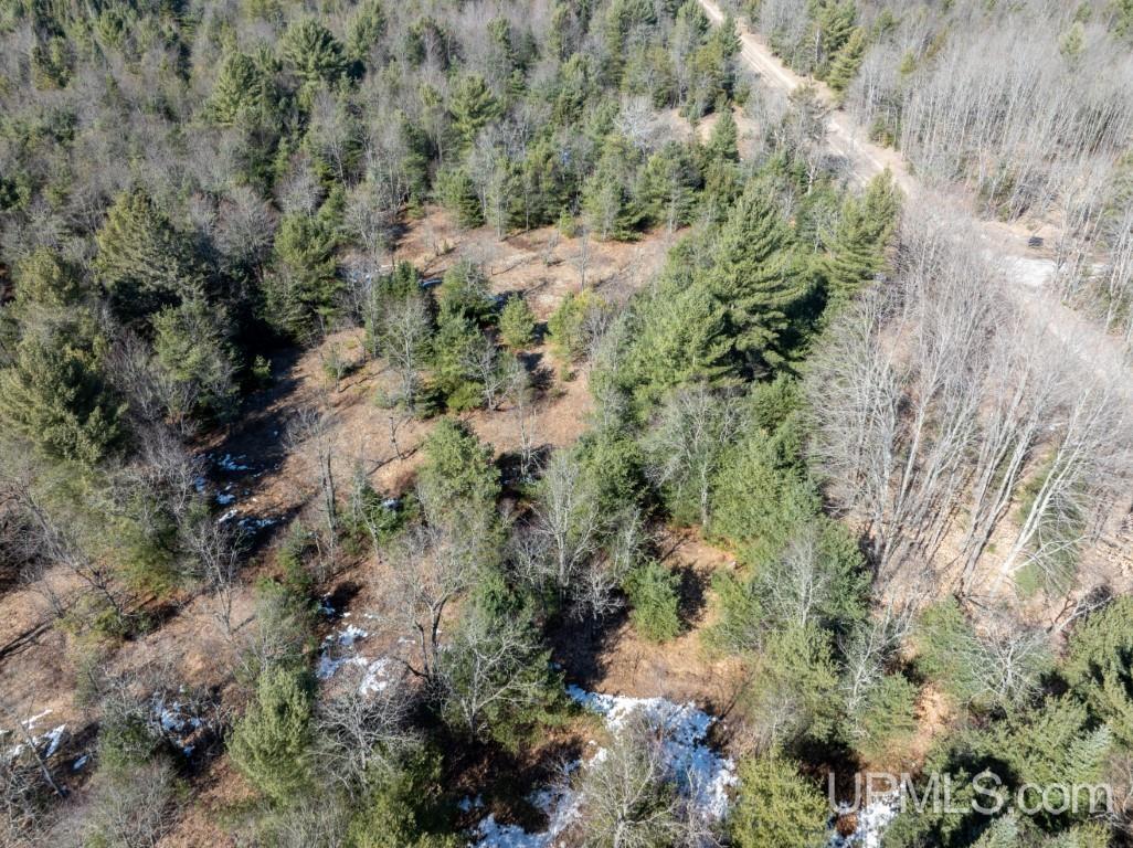 Tbd Dd Road Wetmore, MI 49895 - Photo 16 of 22