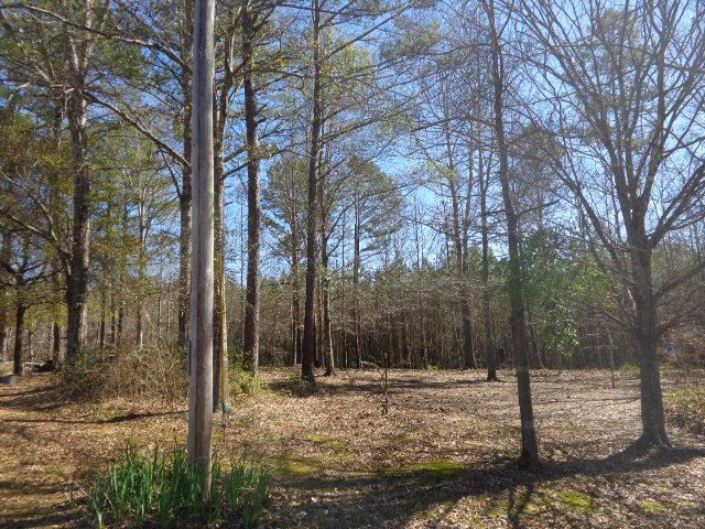 3130 Ashley Road Hazlehurst, MS 39083 - Photo 31 of 46 Photo 32