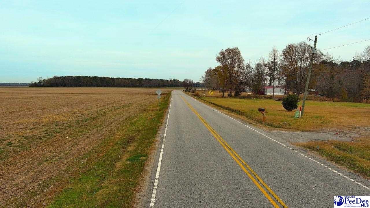 Kentyre Road Hamer, SC 29547 - Photo 24 of 24 Gallery Image 24