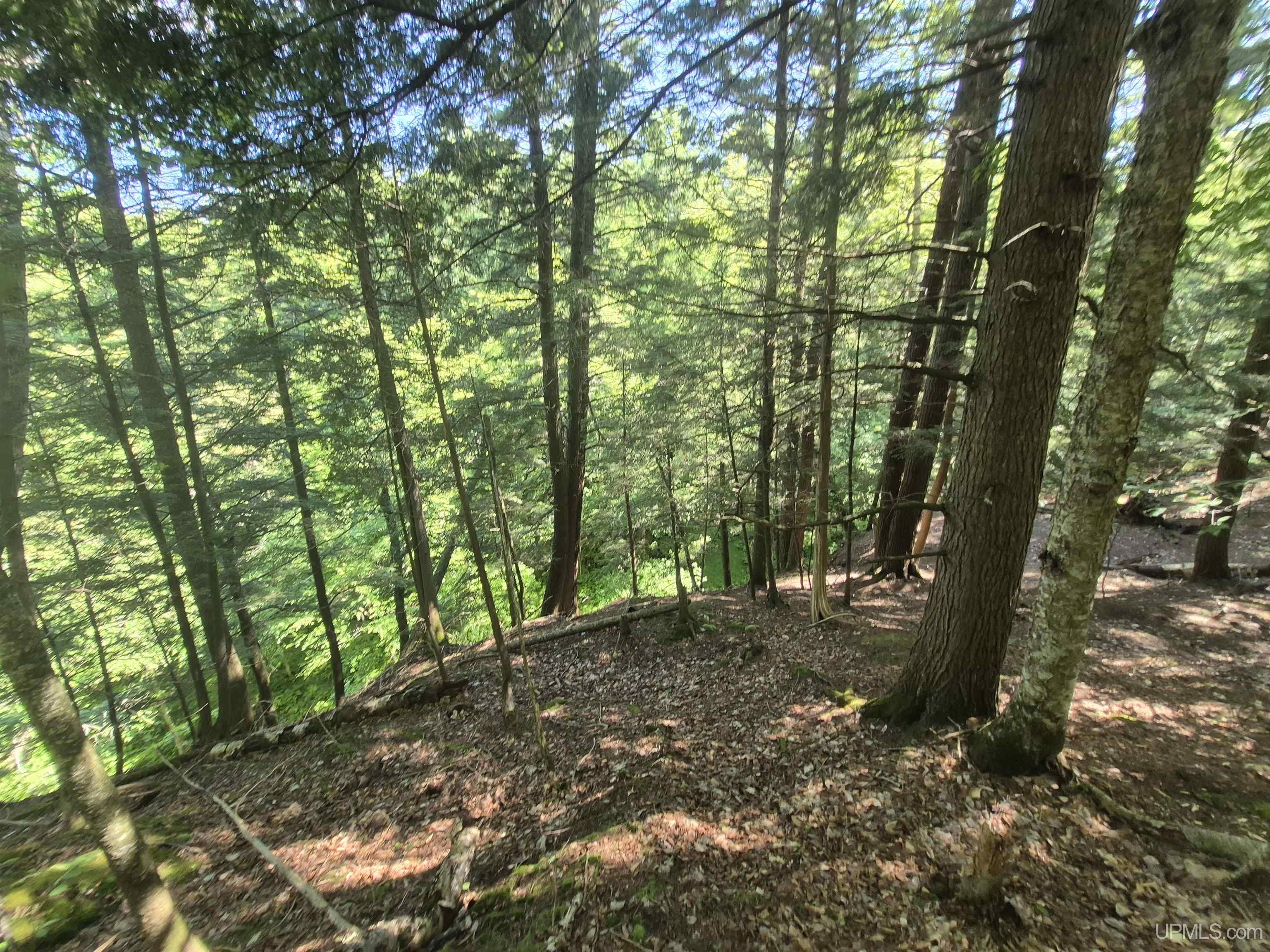 8-acres Nestor Road Munising, MI 49862 - Photo 39 of 43