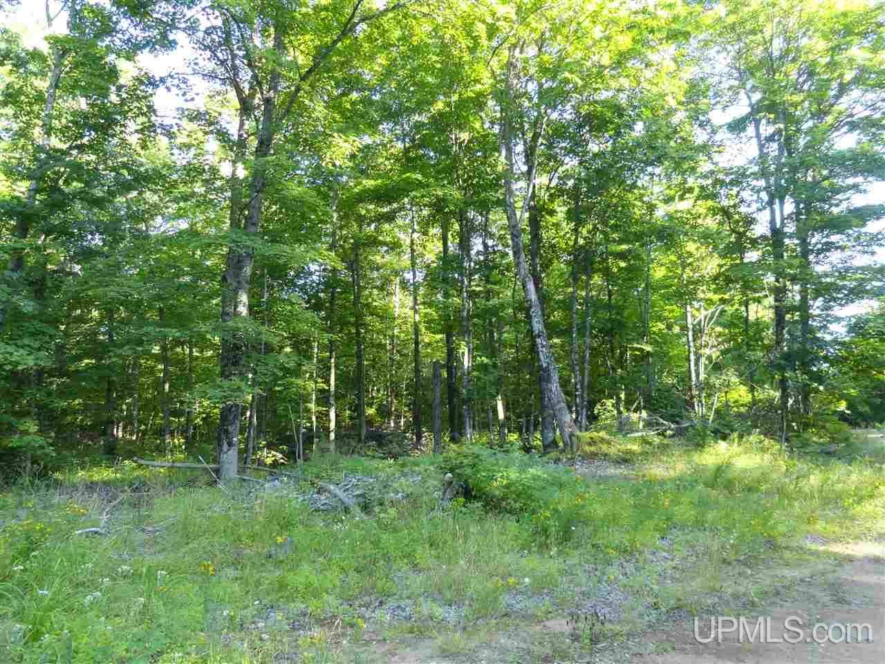 80 SOUTH Off Co Road Ishpeming, MI 49849 - Photo 13 of 20