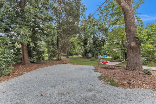 a view of a road with trees and bushes