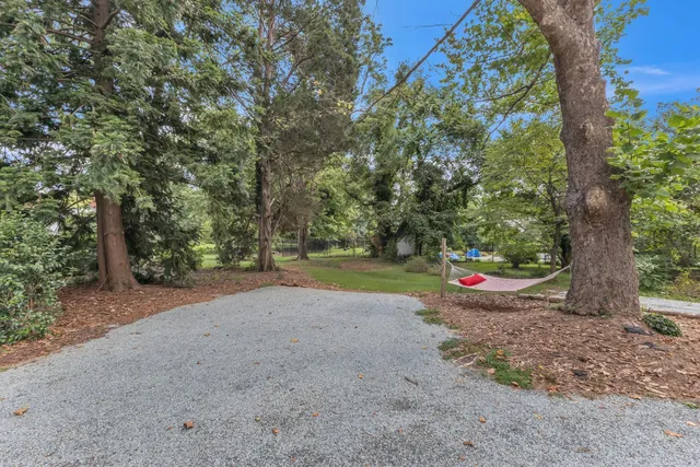a view of a garden with trees