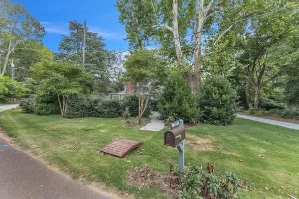 a view of a garden with trees