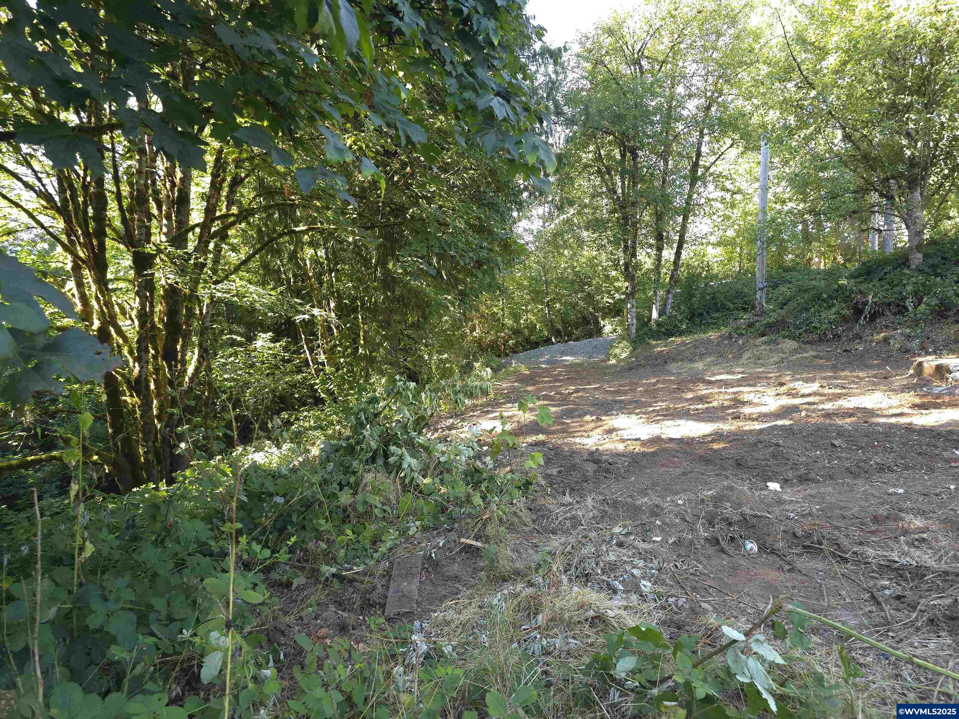 High Deck (tl800) Road Cascadia, OR 97329 - Photo 6 of 10