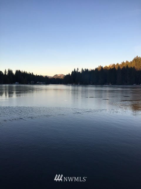 1517 Southwest Lake Roesiger Road Snohomish, WA 98290 - Photo 1 of 26 a view of lake