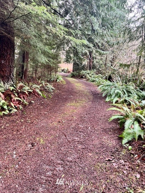 1517 Southwest Lake Roesiger Road Snohomish, WA 98290 - Photo 12 of 26 a view of a yard with plants and trees