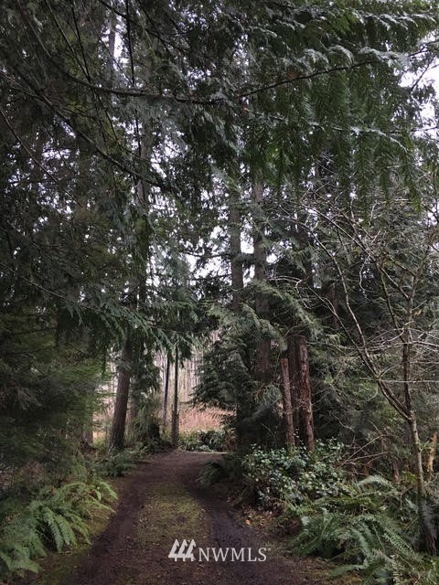 1517 Southwest Lake Roesiger Road Snohomish, WA 98290 - Photo 22 of 26 a view of a forest with trees