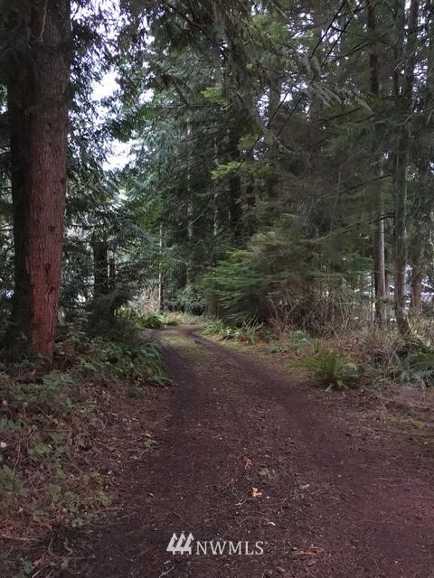 1517 Southwest Lake Roesiger Road Snohomish, WA 98290 - Photo 23 of 26 a view of a forest with trees