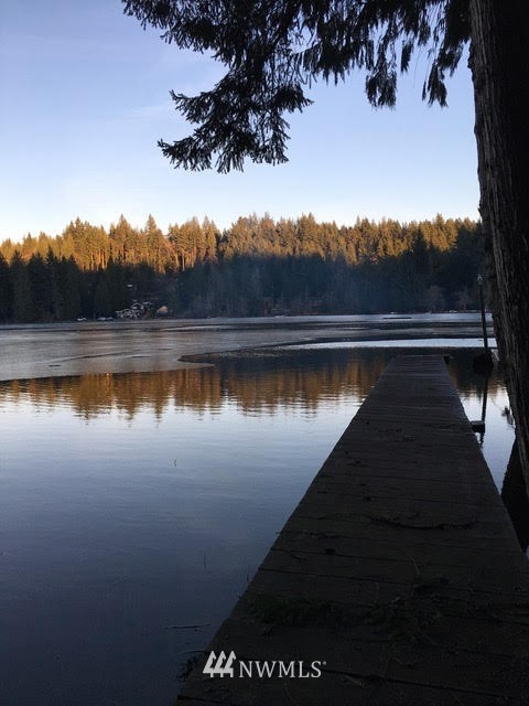 1517 Southwest Lake Roesiger Road Snohomish, WA 98290 - Photo 26 of 26 a view of a lake in middle of the house