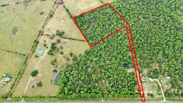 a view of a tennis ground with large trees