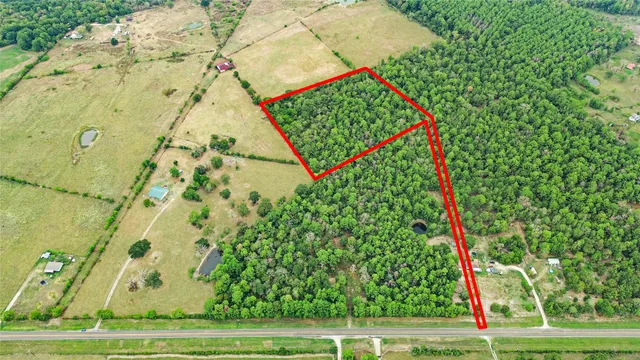 a picture of a plant