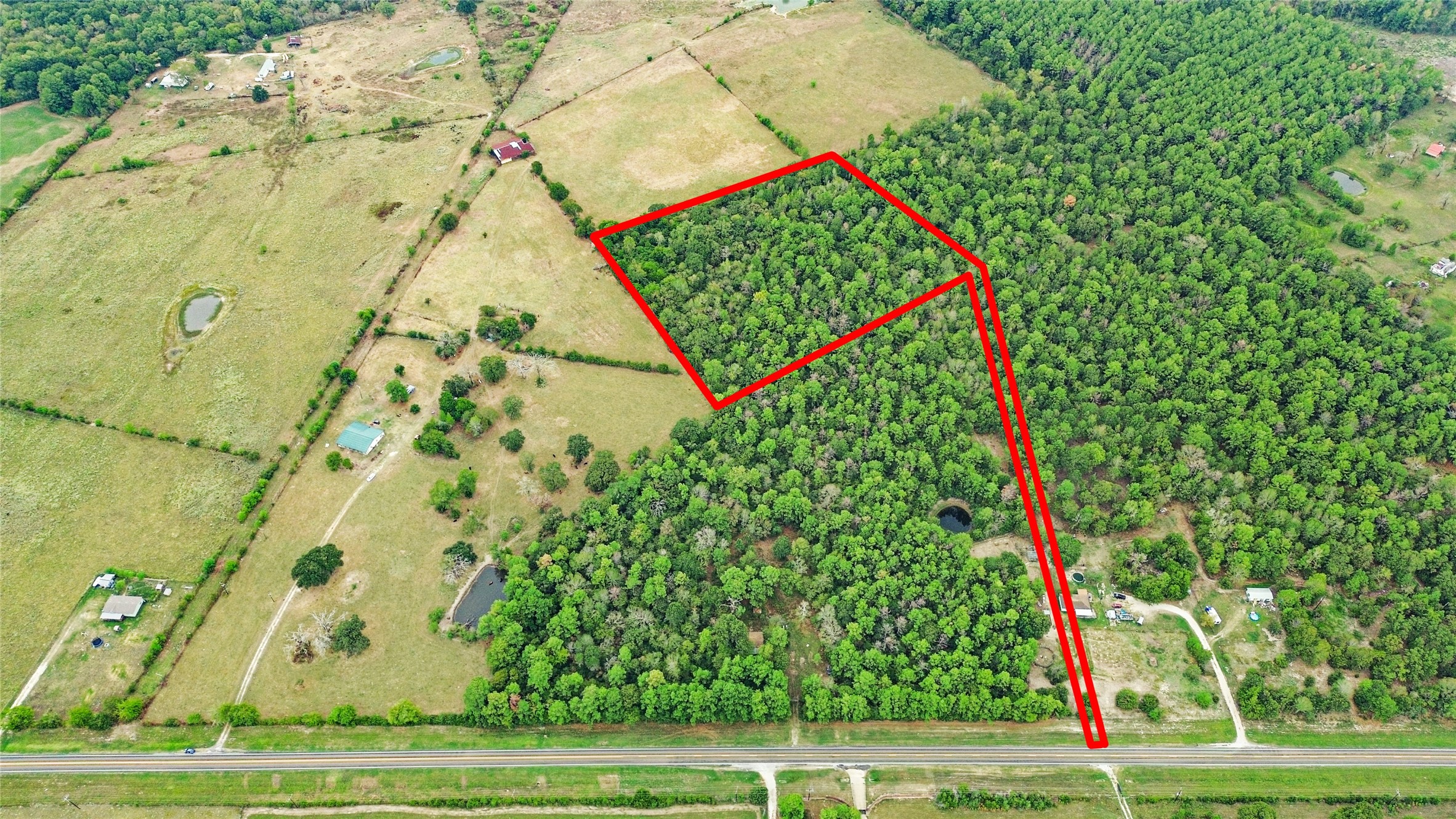 94 South St Trinity Tx 75862 Trinity, TX 75862 - Photo 4 of 6 a view of a tennis ground with large trees