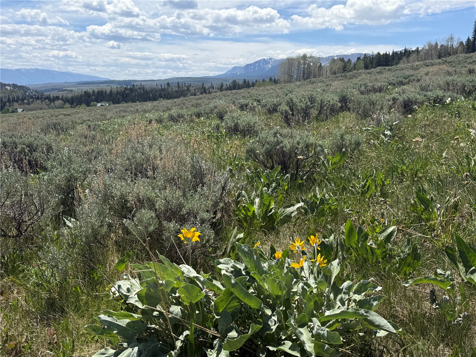 Tbd Spring Creek Ranch Road Silverthorne, CO 80498 - Photo 34 of 48