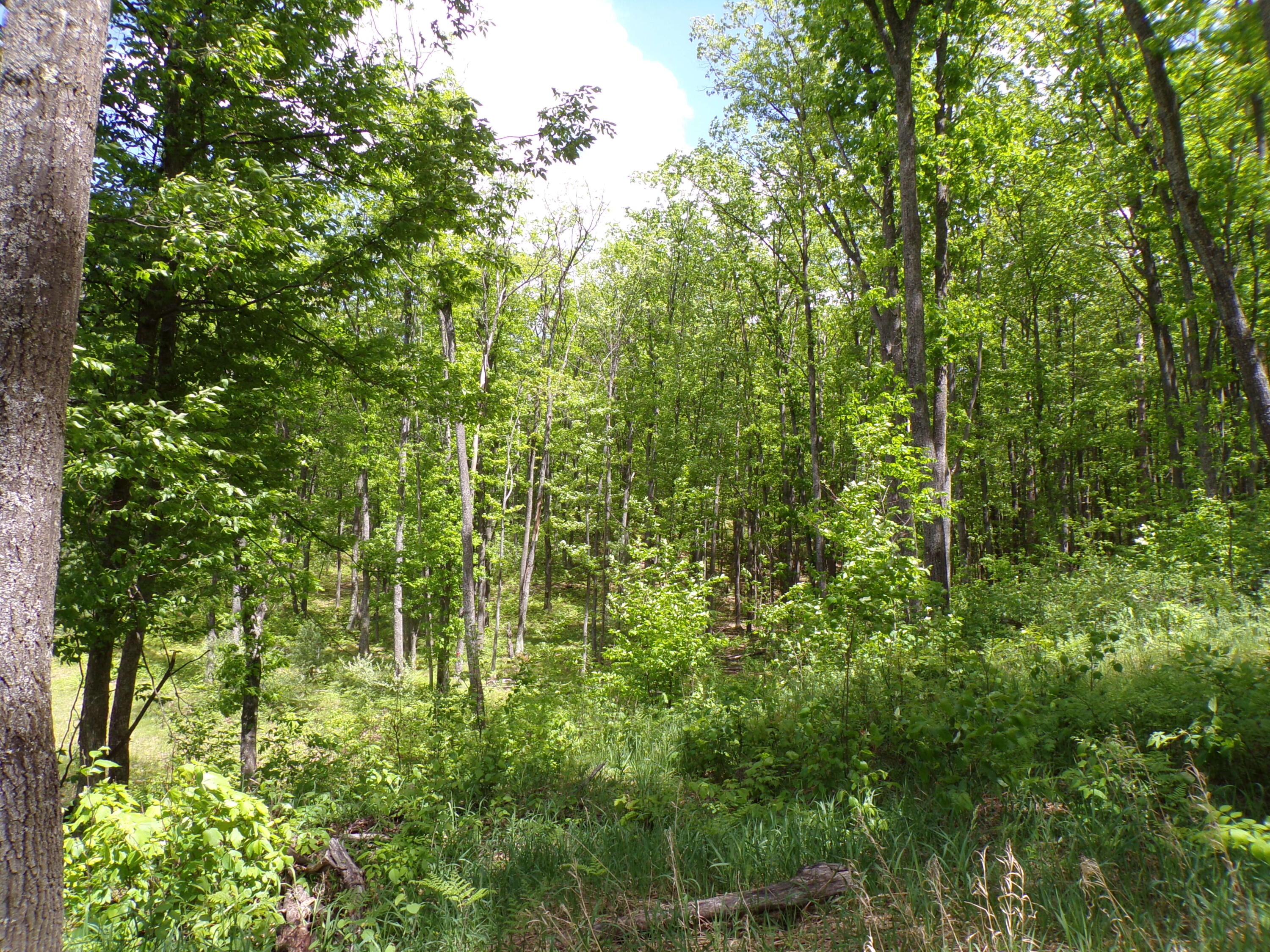 4198 East Miller Road Fairview, MI 48621 - Photo 60 of 64 Gallery Image 60