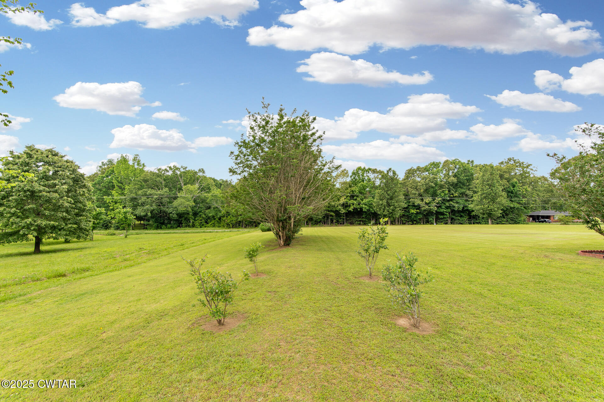 3011 Crucifer Road Huron, TN 38345 - Photo 42 of 49 3011 Crucifer Rd Huron TN Updated-30