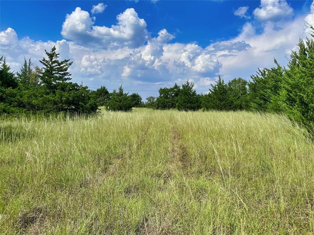 1408 Wortham Road Whitewright, TX 75491 - Photo 5 of 13