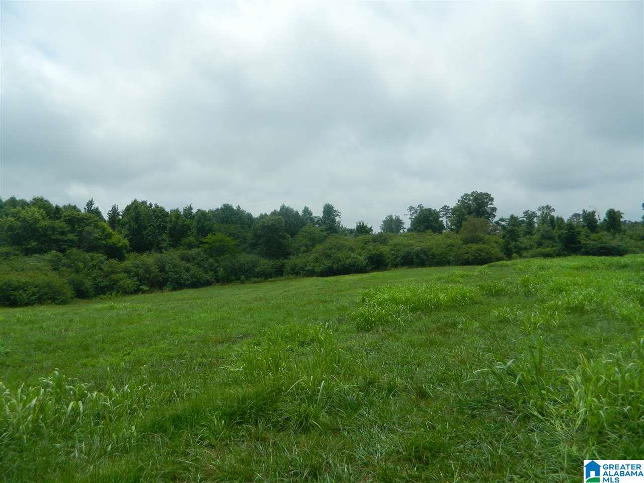 0 County Road 76 Cullman, AL 35057 - Photo 14 of 14