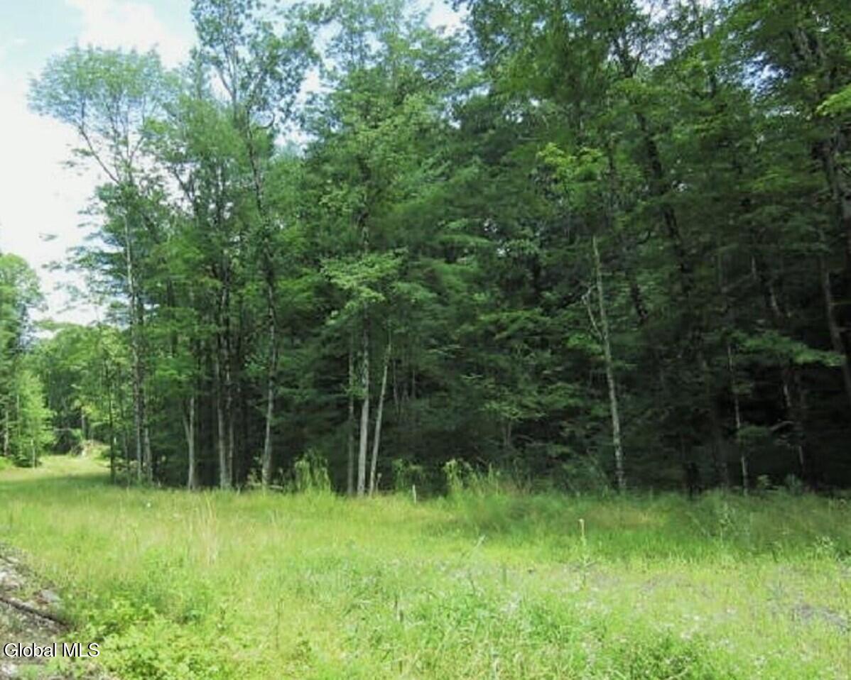 12 Jasmine Road East Nassau, NY 12062 - Photo 4 of 5 2