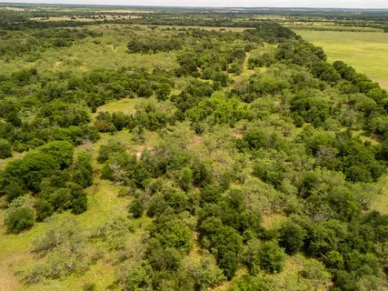 an aerial view of residential houses with outdoor space and trees
