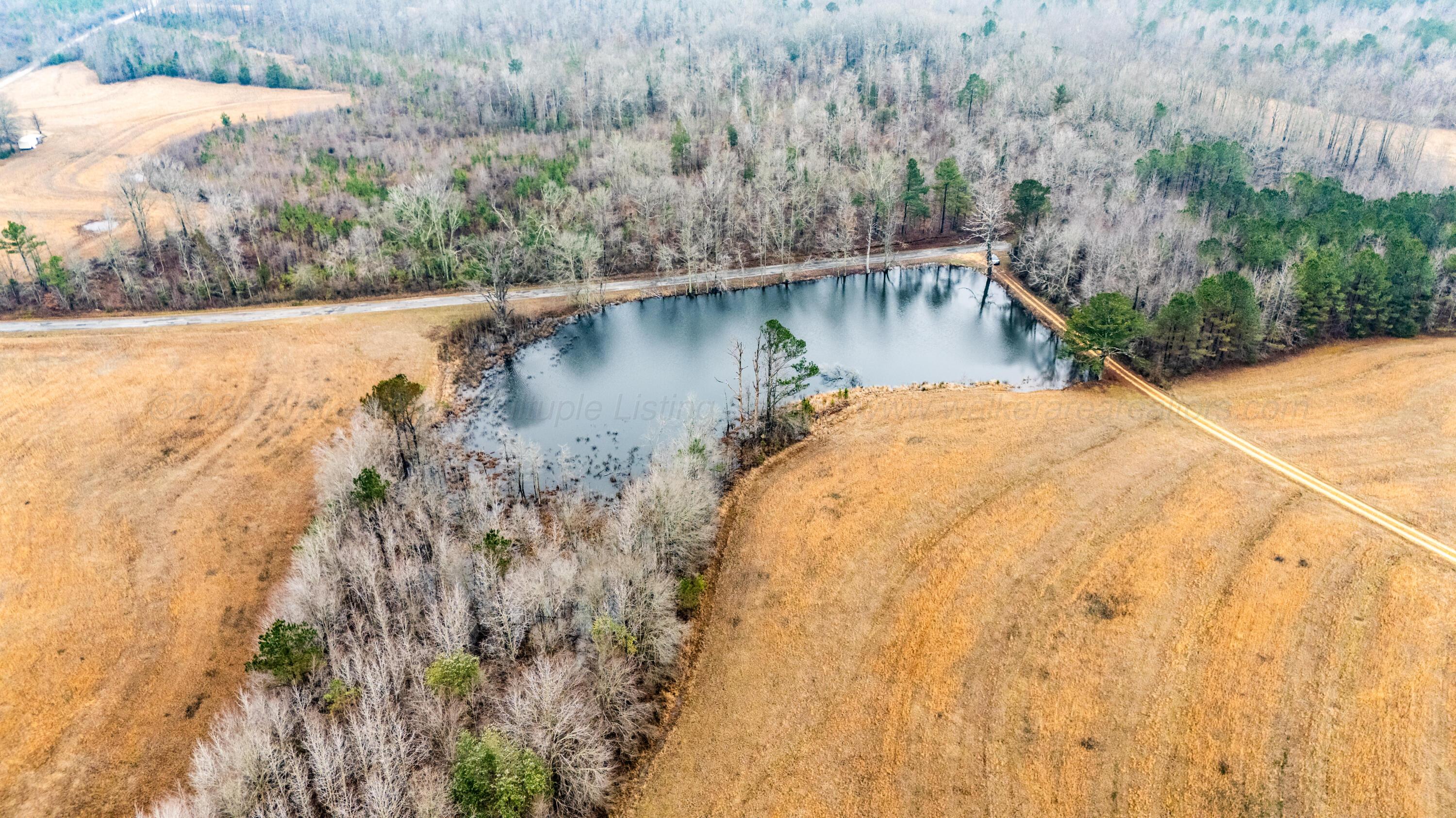 1845 Roberts Road Hamilton, AL 35570 - Photo 46 of 47 dji_fly_20260204_110756_0161_17702424491