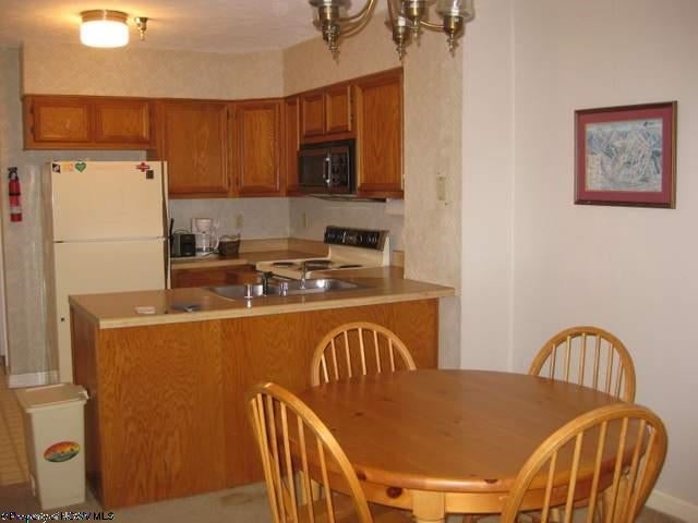 234 Beaver Ridge Road Davis, WV 26260 - Photo 2 of 8 Gallery Image 2