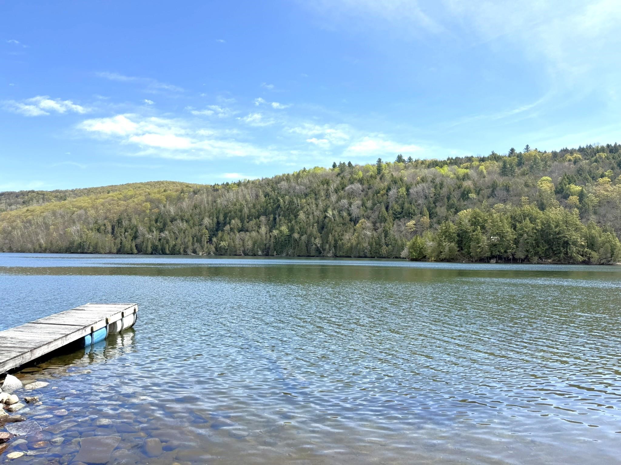 1338 Eligo Lake Road Greensboro, VT 05843 - Photo 2 of 27