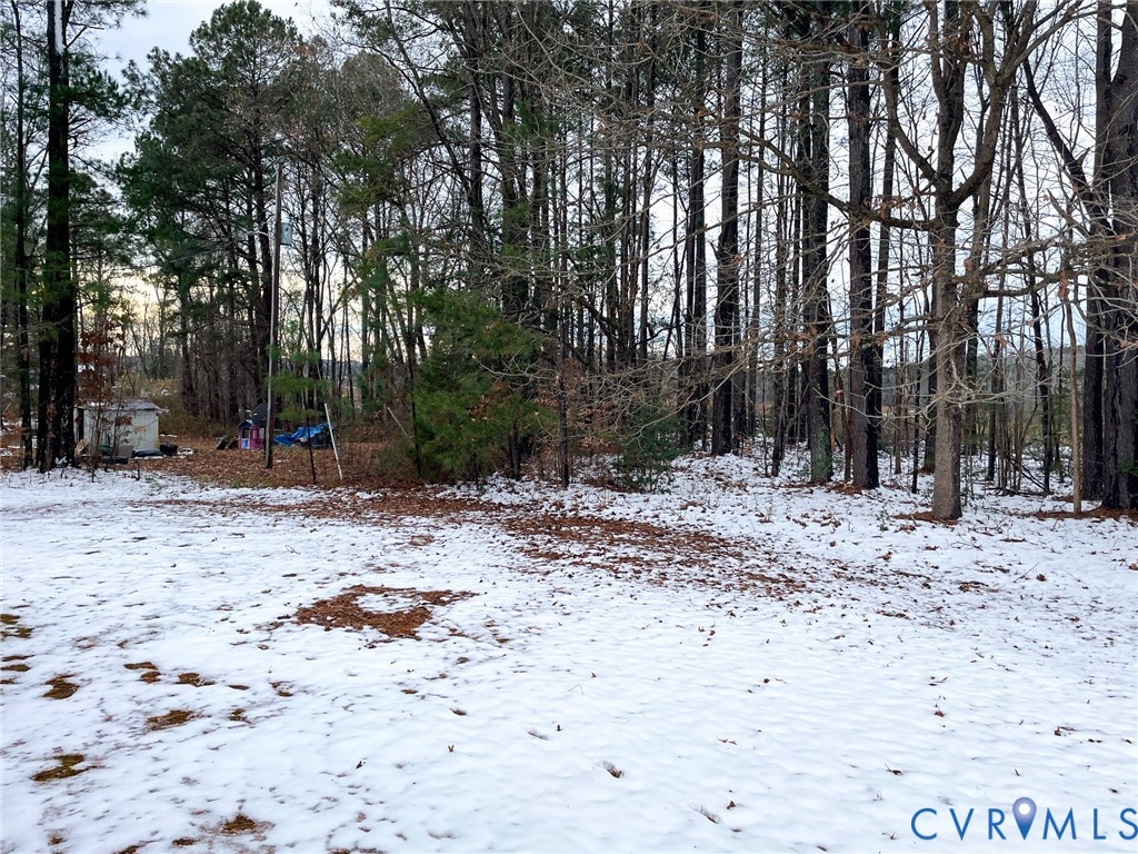 3867 Longview Road Kenbridge, VA 23944 - Photo 25 of 25 a view of a yard with a tree